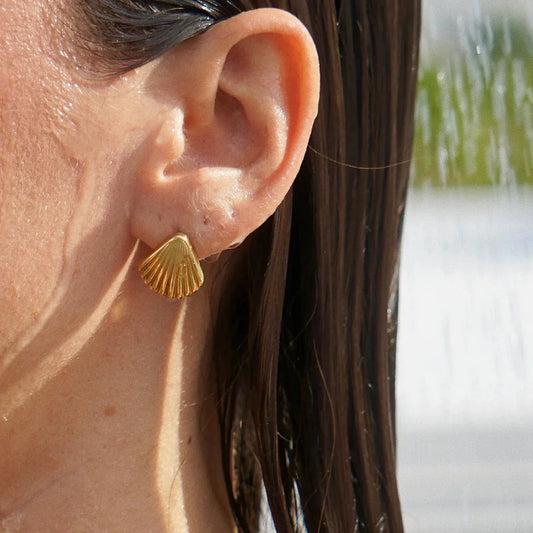 Shell.